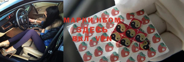 крисы Армянск