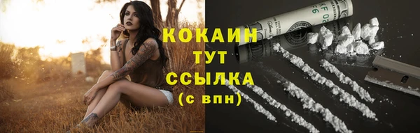крисы Армянск