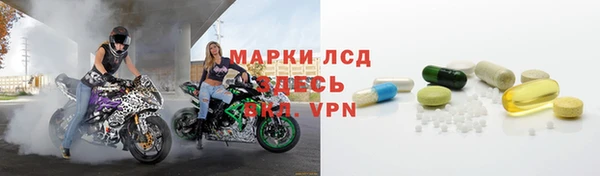 стафф Аркадак