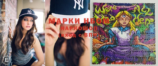 стафф Аркадак