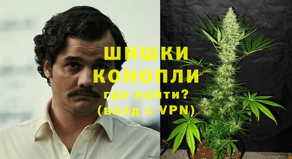 стафф Аркадак