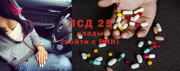стафф Аркадак