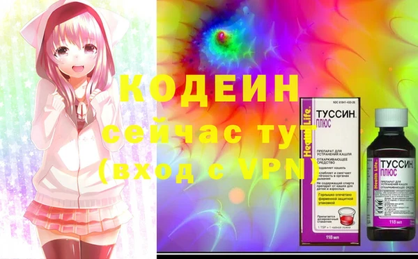 крисы Армянск