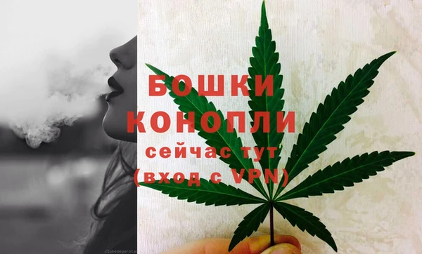 стафф Аркадак